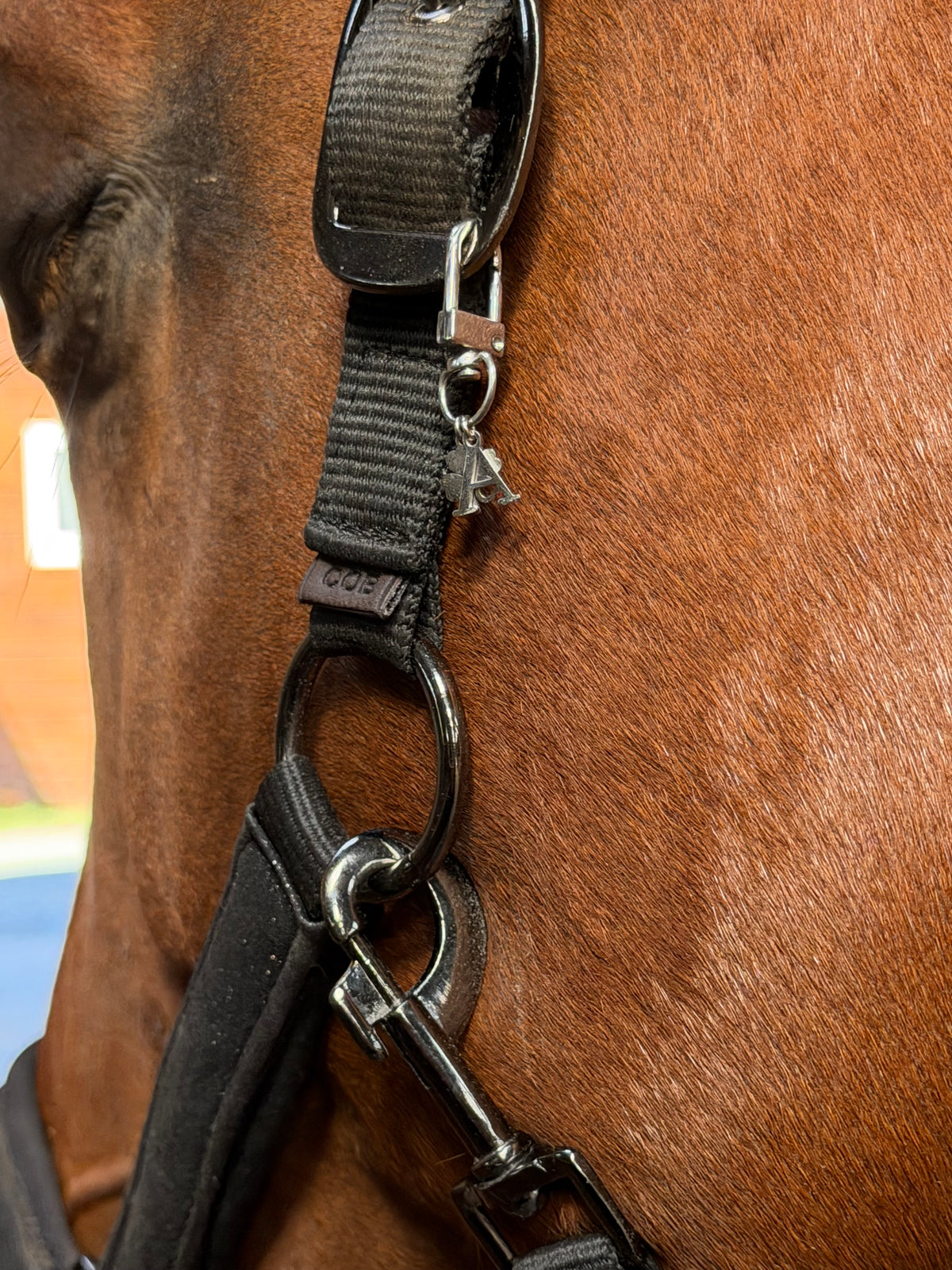 bijoux pour licols d'équitation