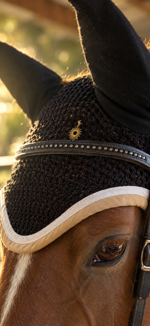 bijoux pour bonnet d'équitation