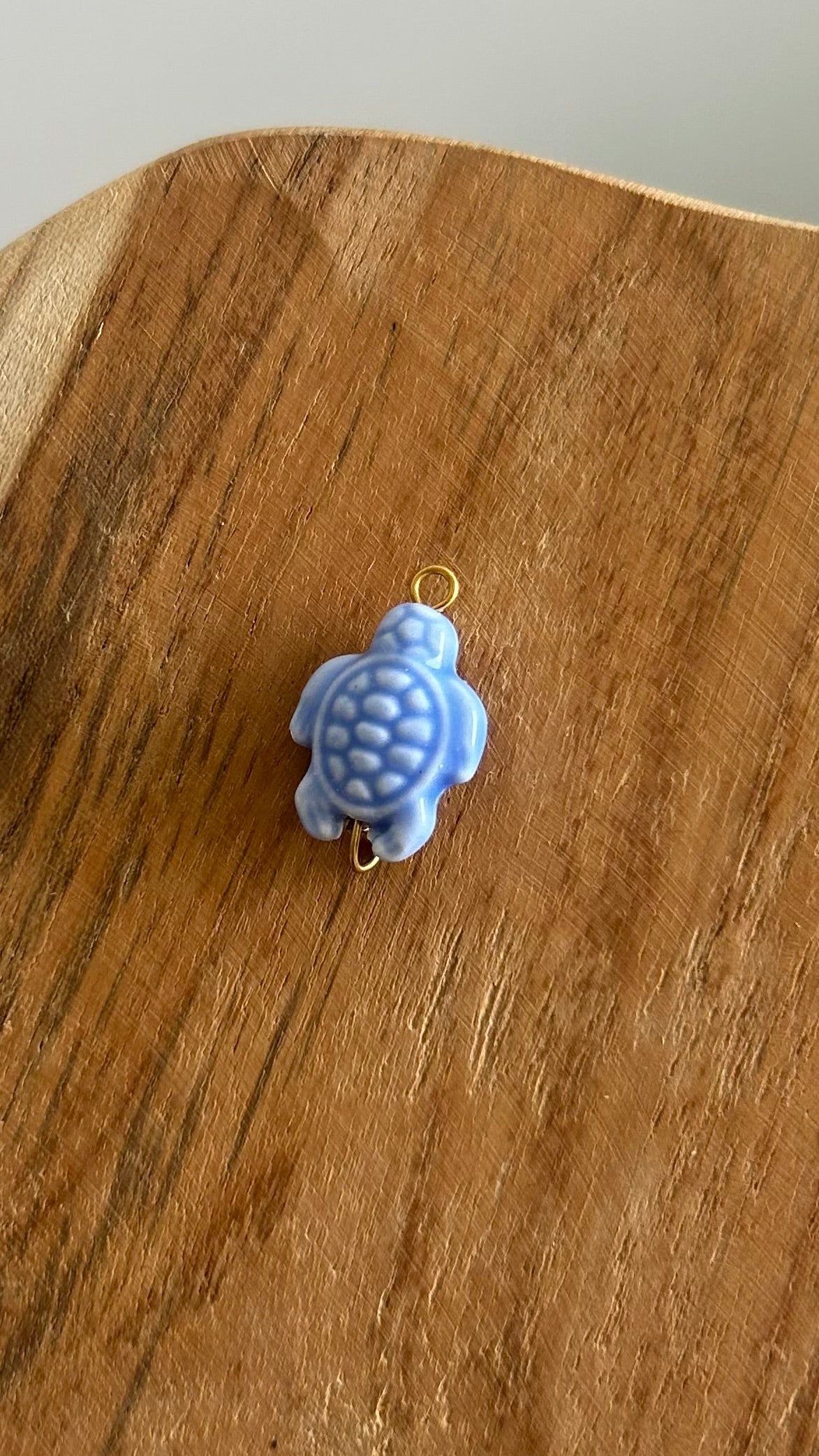 Charms tortue