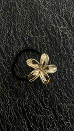 Bijoux de cheveux